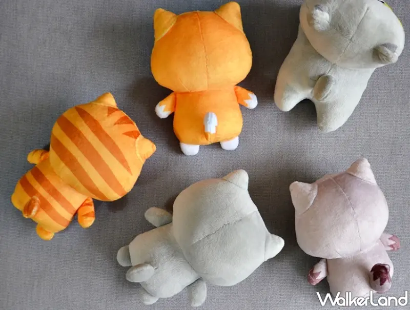 貓爪抓 / WalkerLand窩客島提供 未經許可，不得轉載