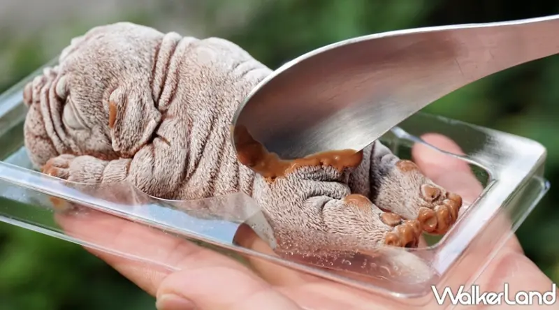 全家  / WalkerLand窩客島提供 未經許可，不得轉載