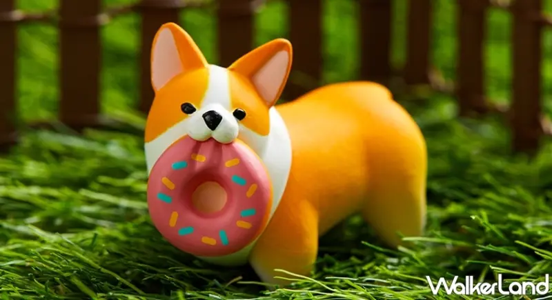 柯基的日常  / WalkerLand窩客島提供 未經許可，不得轉載