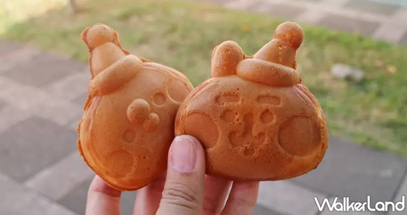 卡娜赫拉的閃閃耶誕夢 / WalkerLand窩客島提供 未經許可，不得轉載