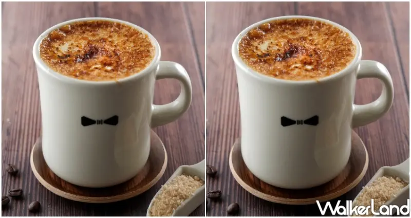 陽明山咖啡廳「CAMA COFFEE ROASTERS豆留森林」/ WalkerLand窩客島整理提供 未經許可不可轉載