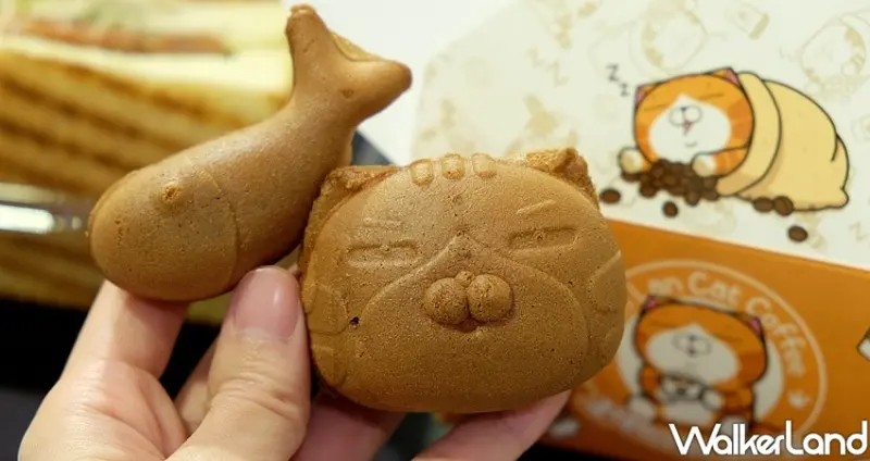 三創「白爛貓玩轉派對」 / WalkerLand窩客島整理提供 未經許可不可轉載