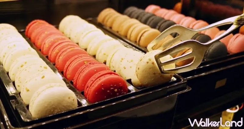 TWG TEA / WalkerLand窩客島提供 未經許可，不得轉載