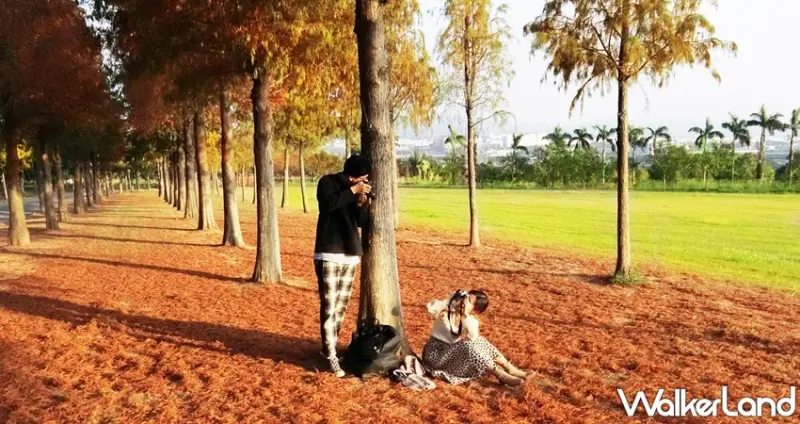 麗寶樂園 落羽松秘境 / WalkerLand窩客島整理提供 未經許可，不得轉載