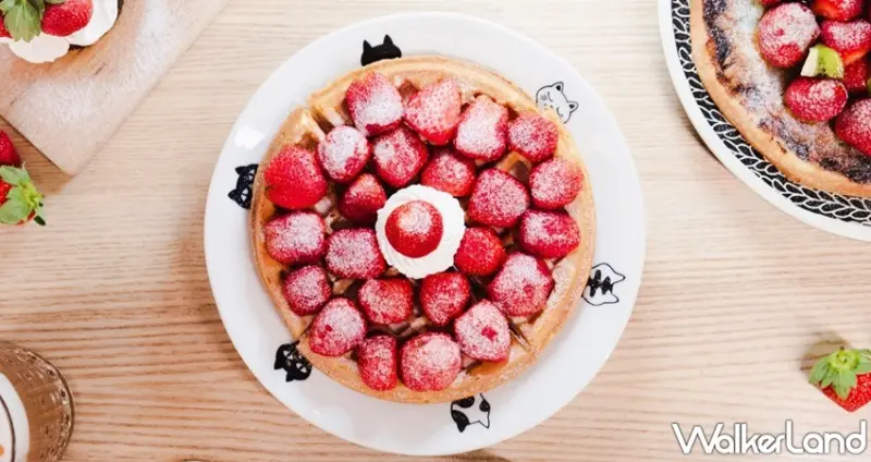 熊與喵咖啡 / WalkerLand窩客島整理提供 未經許可，不得轉載