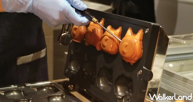 旭集 和食集錦 / WalkerLand窩客島提供 未經許可，不得轉載