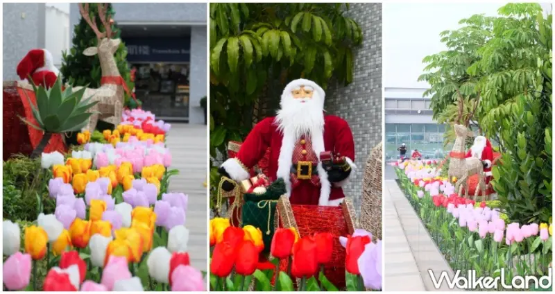 松山機場觀景台 / WalkerLand窩客島提供 未經許可，不得轉載