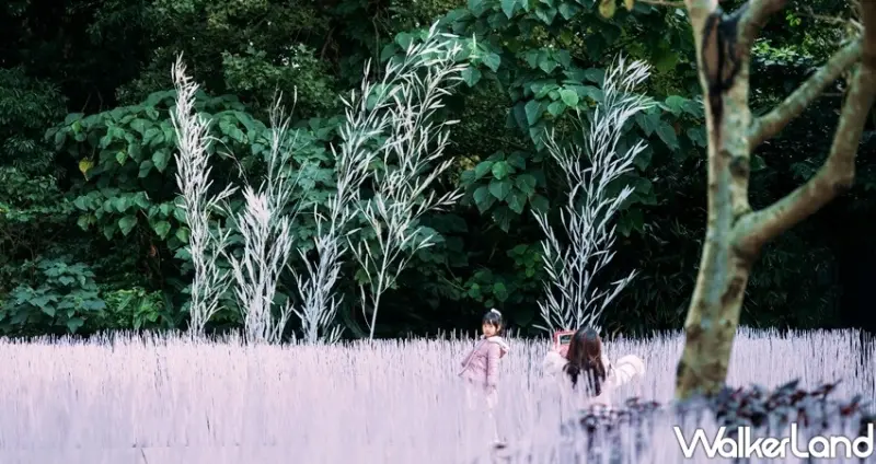 2019原創基地節 / WalkerLand窩客島整理提供 未經許可不可轉載