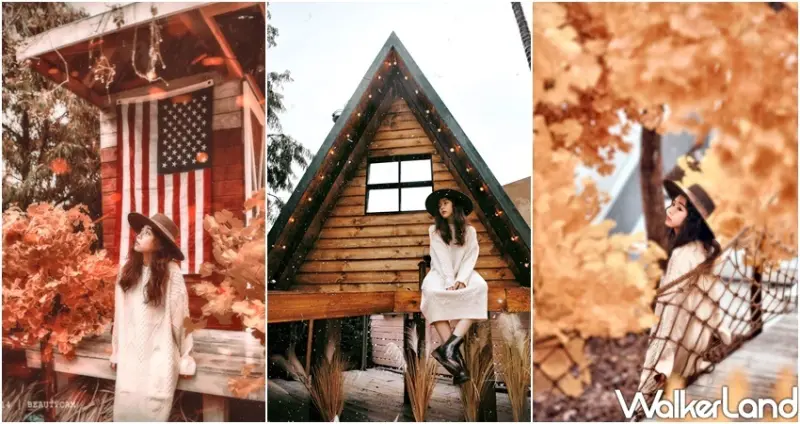 爛醉咖啡 銀杏森林 / WalkerLand窩客島整理提供 未經許可不可轉載