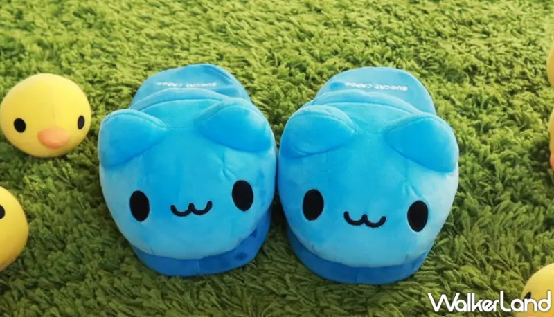 咖波 / WalkerLand窩客島提供 未經許可，不得轉載