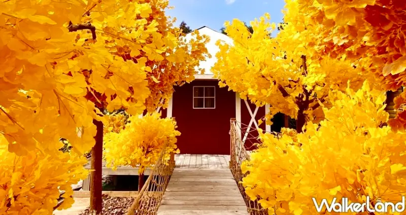 金黃銀杏森林就在國父紀念館！網美最愛打卡的「爛醉咖啡」秋冬限定「銀杏森林」快閃登場，5個絕美打卡點一定不能錯過。