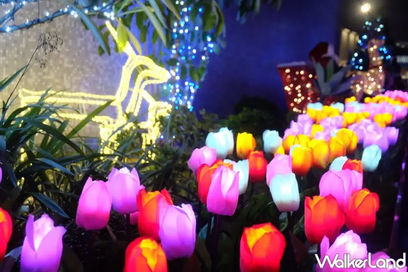 松山機場觀景台 / WalkerLand窩客島提供 未經許可，不得轉載