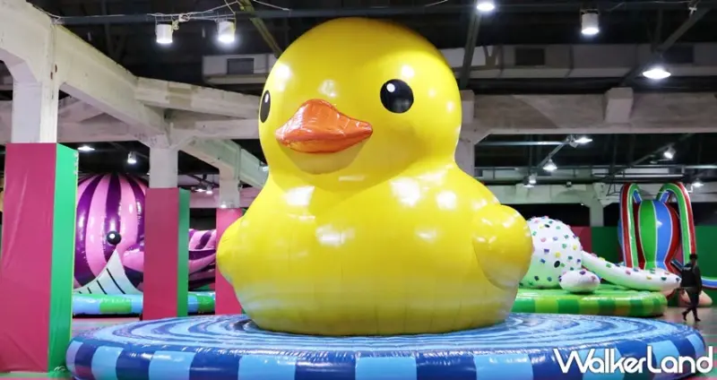 我把動物FUN大了!霍夫曼的療癒動物園 / WalkerLand窩客島提供 未經許可，不得轉載