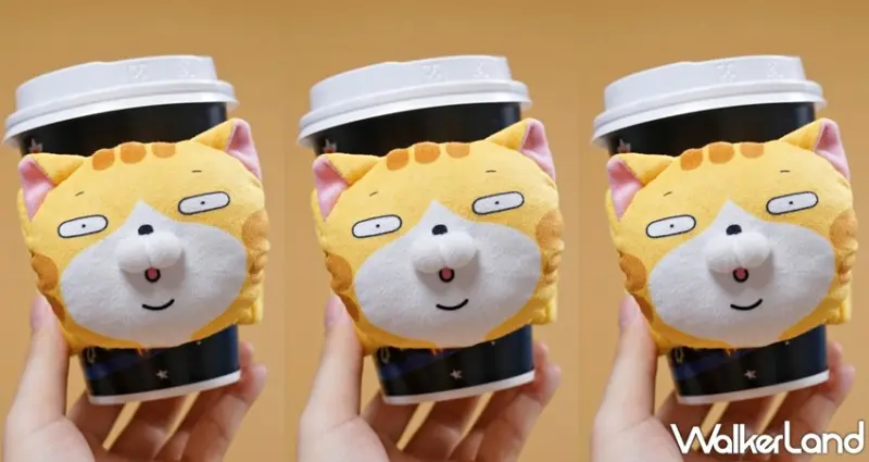 白爛貓的爛漫滿屋 / WalkerLand窩客島提供 未經許可，不得轉載