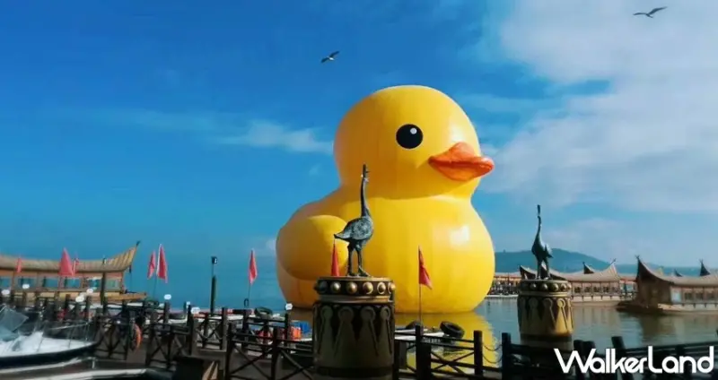 我把動物FUN大了!霍夫曼的療癒動物園 / WalkerLand窩客島整理提供 未經許可，不得轉載