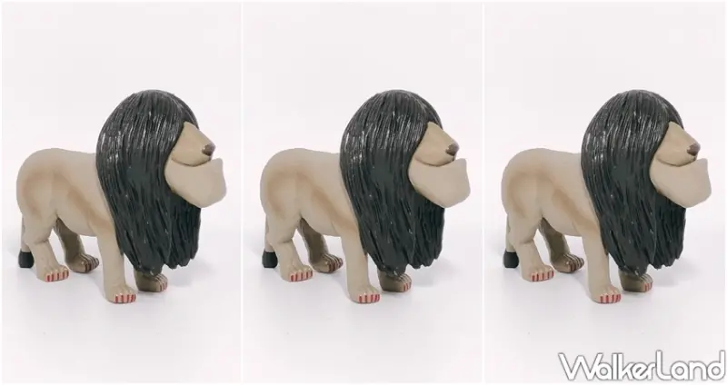 戽斗貞子 / WalkerLand窩客島整理提供 未經許可不可轉載