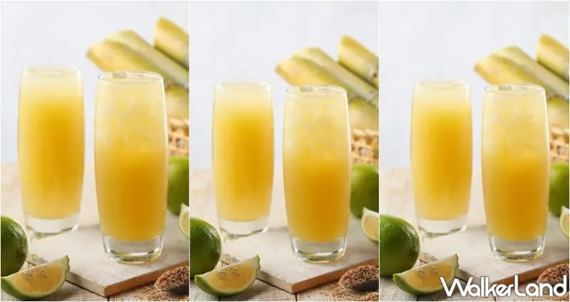 Food Opera食代館 / WalkerLand窩客島整理提供 未經許可，不得轉載