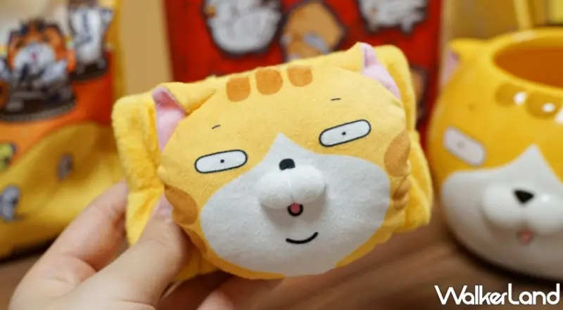 白爛貓的爛漫滿屋 / WalkerLand窩客島提供 未經許可，不得轉載