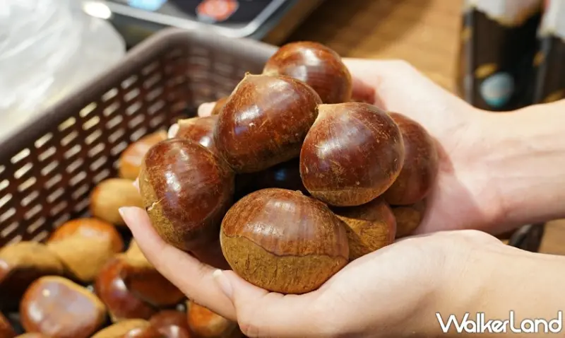 韓國商品展 / WalkerLand窩客島提供 未經許可，不得轉載