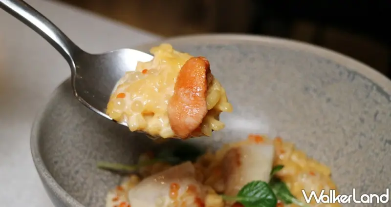 瑪黑餐酒CANTINE MARAIS / WalkerLand窩客島提供 未經許可，不得轉載