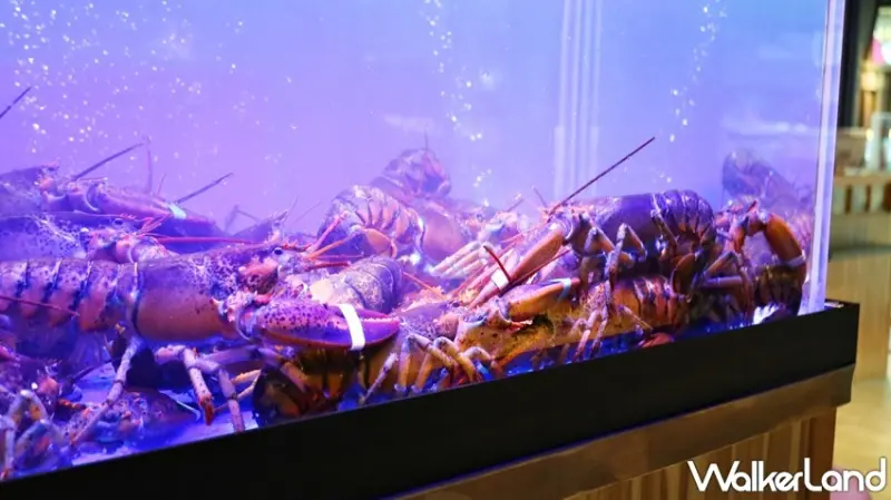 Umi 火鍋 水產直賣所(台北光復店) / WalkerLand窩客島提供 未經許可，不得轉載