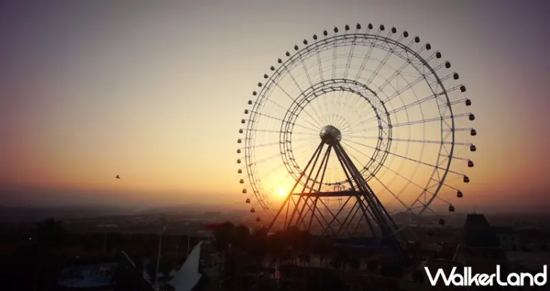 麗寶樂園 落羽松秘境 / WalkerLand窩客島整理提供 未經許可，不得轉載