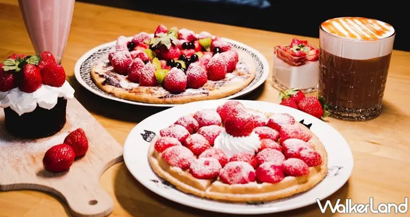 熊與喵咖啡 / WalkerLand窩客島整理提供 未經許可，不得轉載