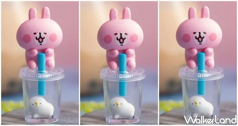 卡娜赫拉的小動物甜點時光 / WalkerLand窩客島提供 未經許可，不得轉載