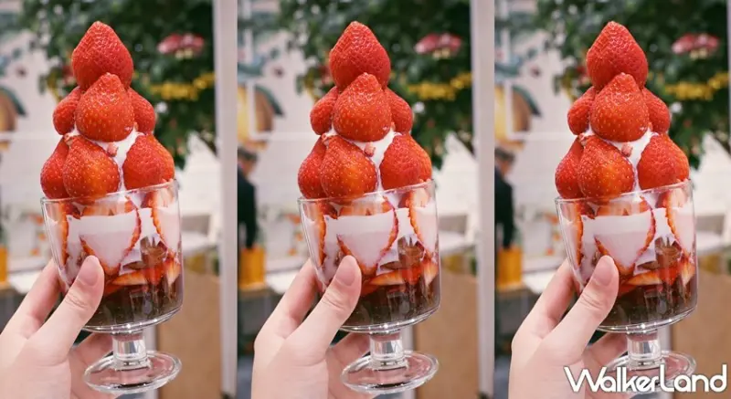  9 Palette Parlor / WalkerLand窩客島提供 未經許可，不得轉載