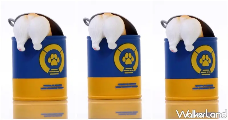 柯基罐罐 / WalkerLand窩客島提供 未經許可，不得轉載