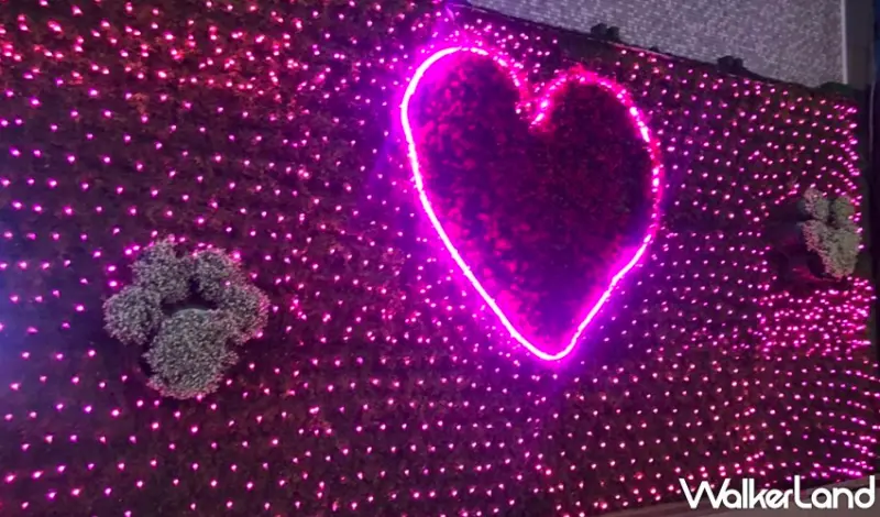 松山機場觀景台 / WalkerLand窩客島提供 未經許可，不得轉載