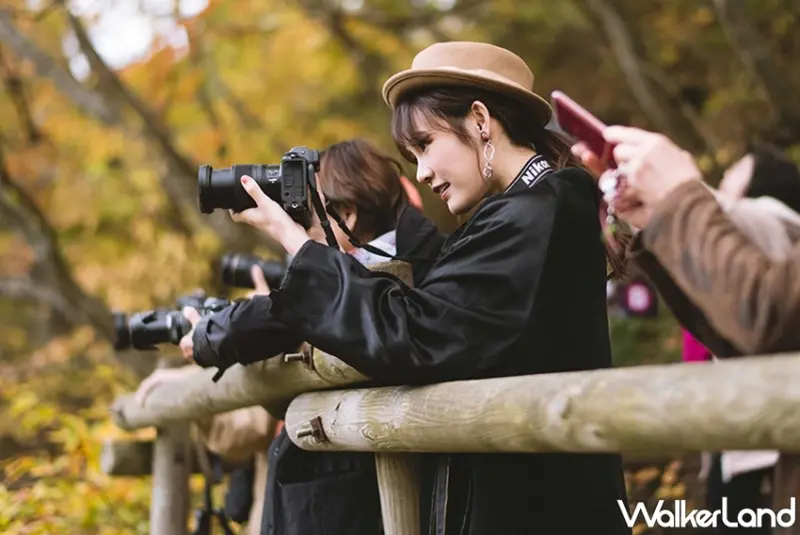 絕景‧只見線-魅惑吳心緹の日本最美鐵道風景