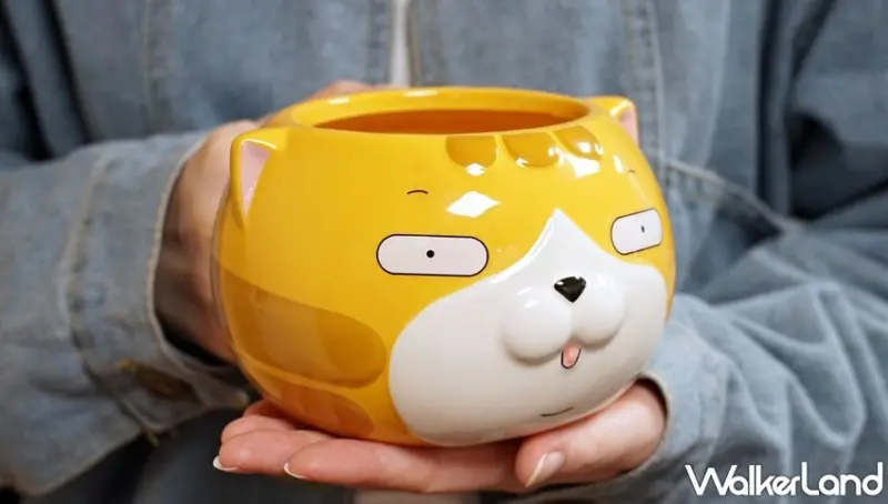 白爛貓的爛漫滿屋 / WalkerLand窩客島提供 未經許可，不得轉載