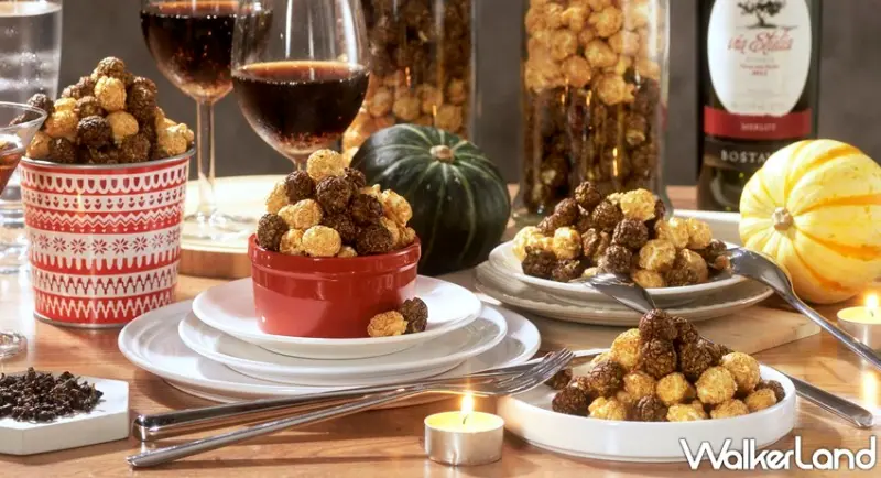 Magi Planet / WalkerLand窩客島提供 未經許可，不得轉載