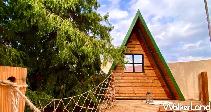 爛醉咖啡 銀杏森林 / WalkerLand窩客島整理提供 未經許可不可轉載