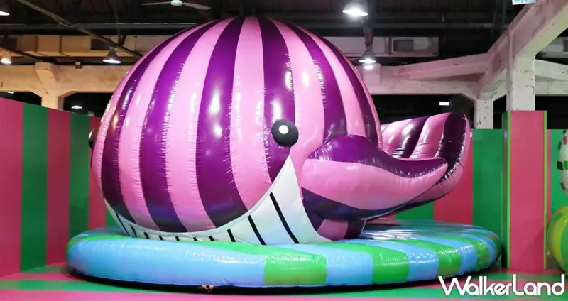 我把動物FUN大了!霍夫曼的療癒動物園 / WalkerLand窩客島提供 未經許可，不得轉載