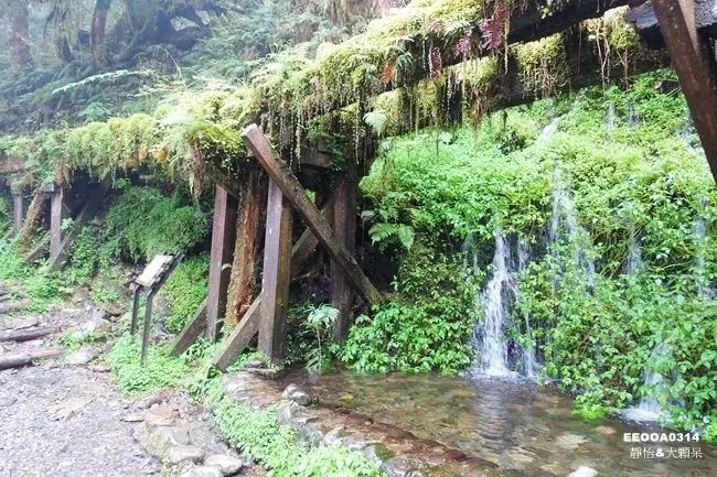 見晴懷古步道 /美食窩客 靜怡 提供 未經許可，不得轉載