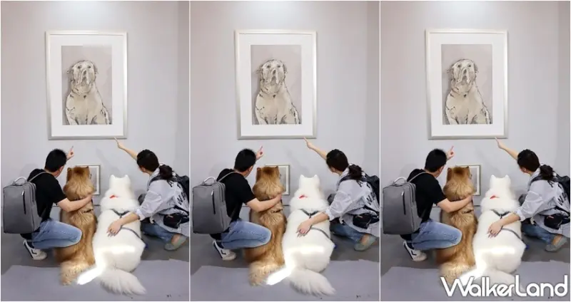 狗狗GoGoGo華山機場 狗狗主場 / WalkerLand窩客島提供 未經許可，不得轉載