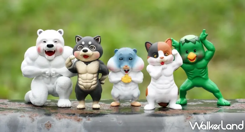 最強筋肉傳說-超進化體態 / WalkerLand窩客島提供 未經許可，不得轉載