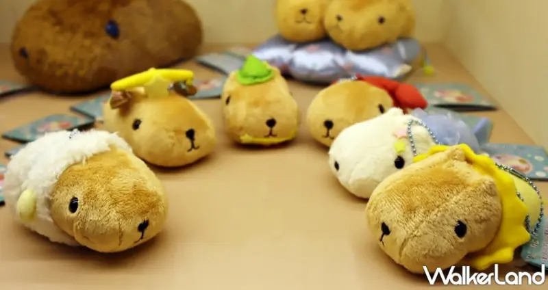 水豚君日日是好日～15周年特展 / WalkerLand窩客島提供 未經許可，不得轉載