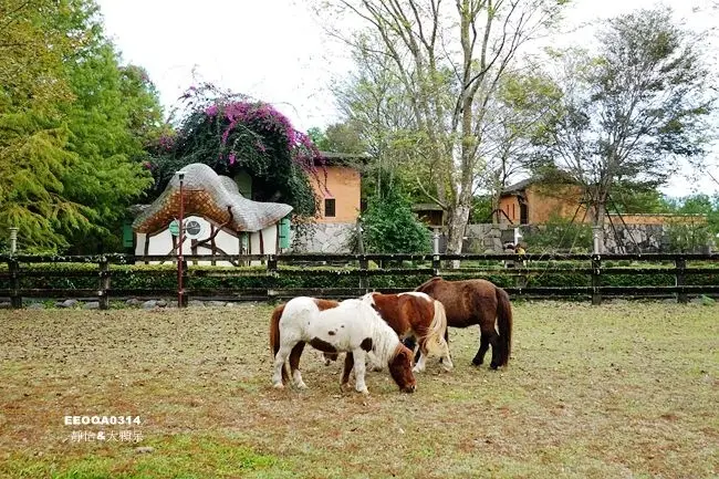 鷺鷥咖啡 Lucy Coffee /美食窩客 靜怡 提供 未經許可，不得轉載