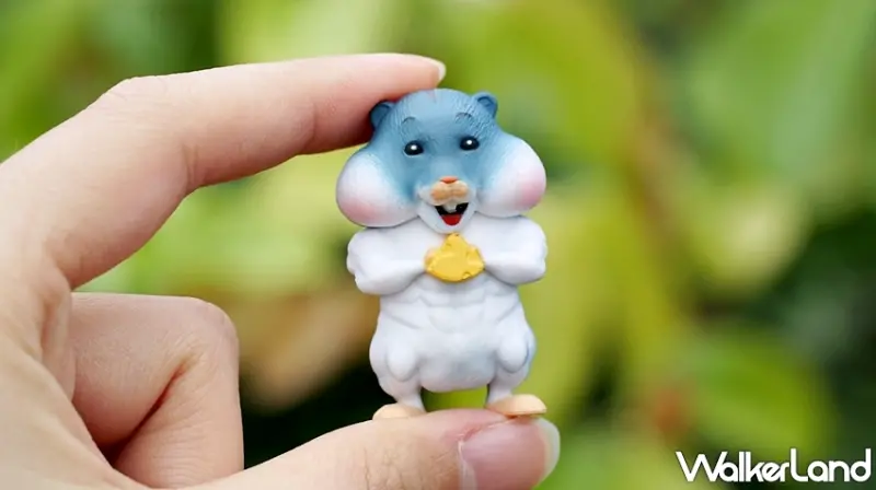 最強筋肉傳說-超進化體態 / WalkerLand窩客島提供 未經許可，不得轉載