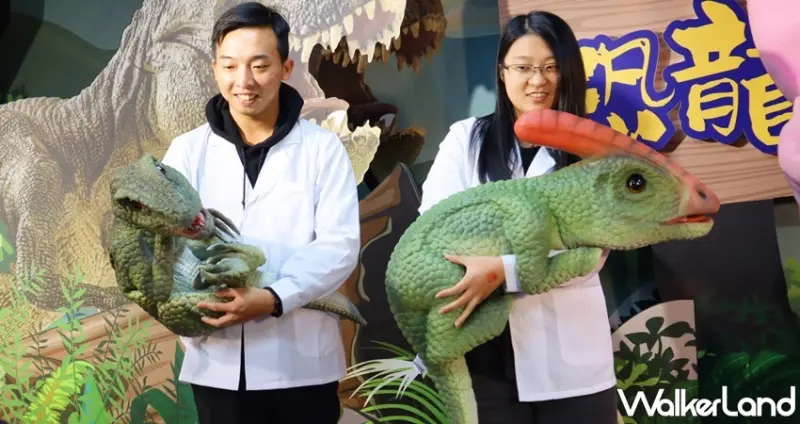 恐龍大鬧兒童新樂園 / WalkerLand窩客島提供 未經許可，不得轉載
