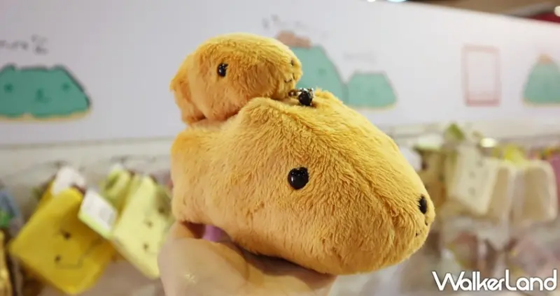 水豚君日日是好日～15周年特展 / WalkerLand窩客島提供 未經許可，不得轉載