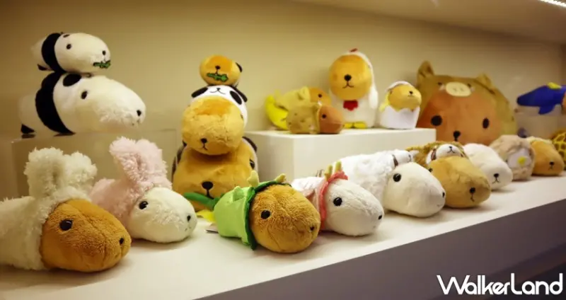 水豚君日日是好日～15周年特展 / WalkerLand窩客島提供 未經許可，不得轉載