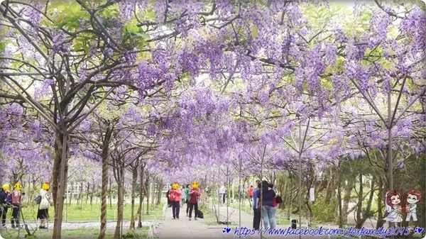 旅遊部落客 雪狐 曾在「紫藤咖啡園二店」
