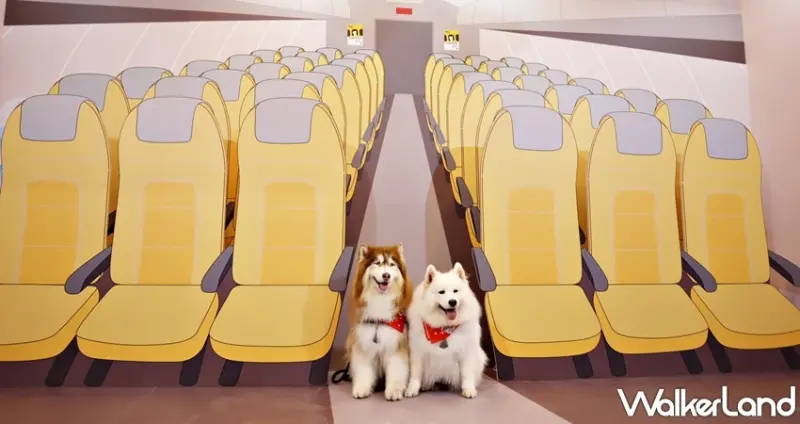 狗狗GoGoGo華山機場 狗狗主場 / WalkerLand窩客島提供 未經許可，不得轉載