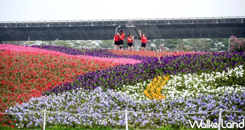 屏東熱帶農業博覽會 / WalkerLand窩客島整理提供 未經許可不可轉載