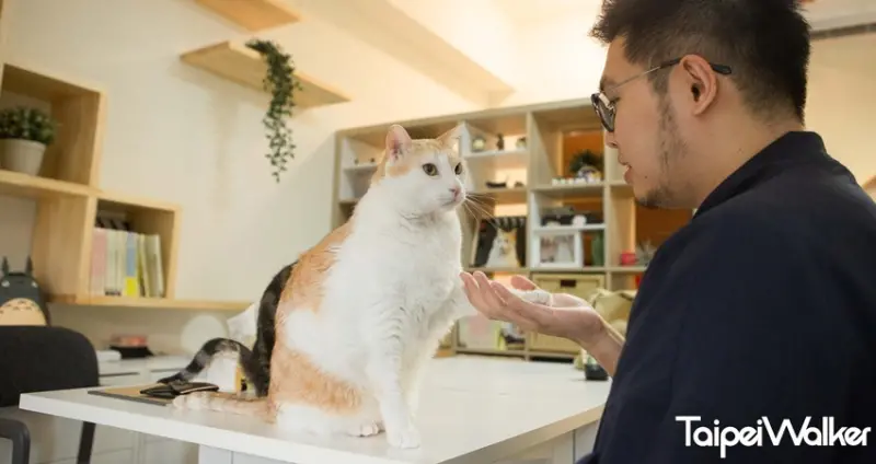 黃阿瑪的後宮生活 / WalkerLand窩客島提供 未經許可，不得轉載