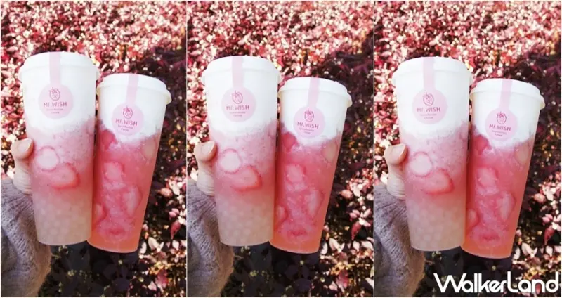 Mr. Wish 草莓季 / WalkerLand窩客島整理提供 未經許可，不得轉載